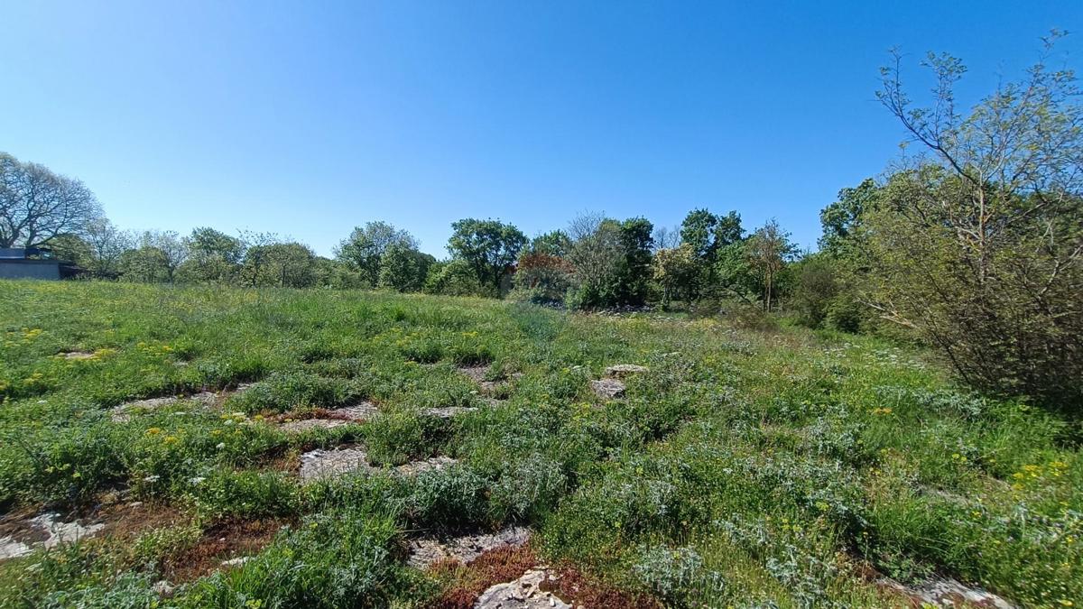 Stavbno zemljišče Bale, 1.235m2