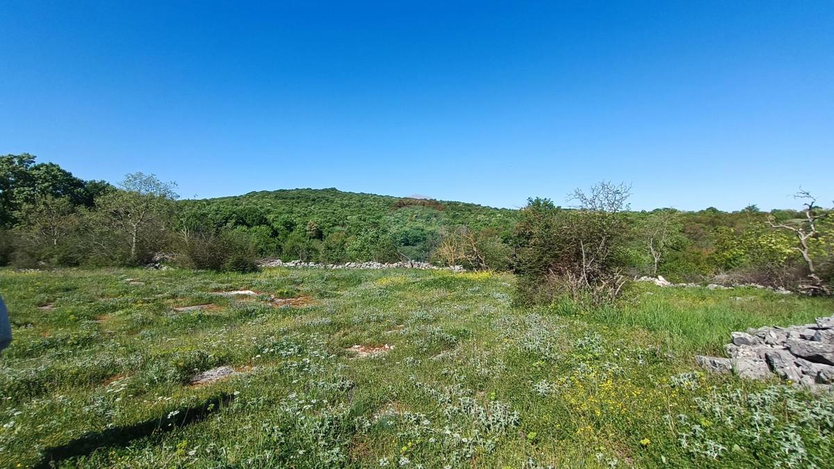 Stavbno zemljišče Bale, 1.235m2