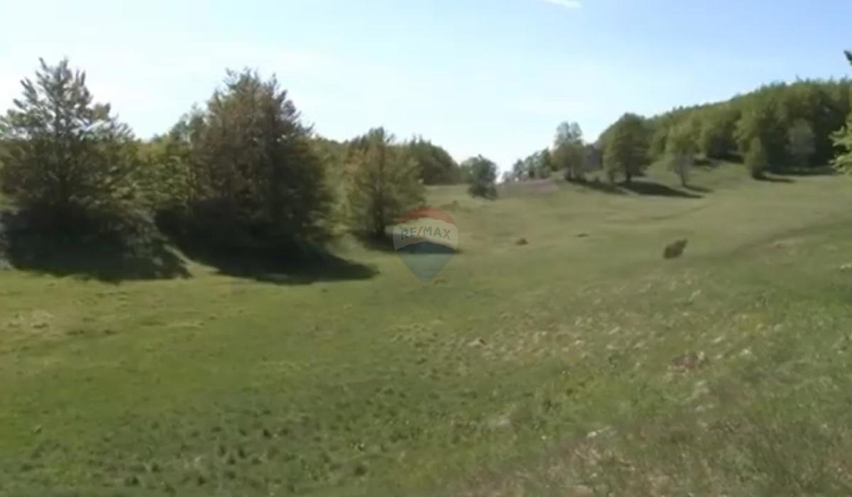 Stavbno zemljišče Jelenje, 43.564m2