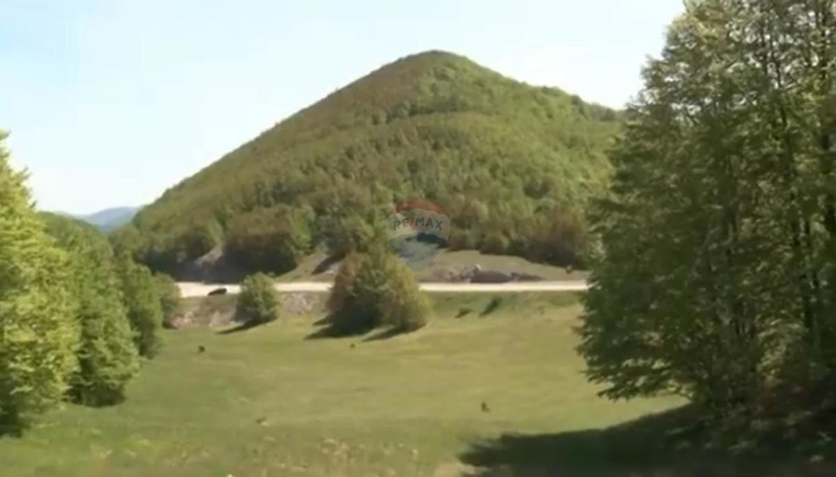 Stavbno zemljišče Jelenje, 43.564m2