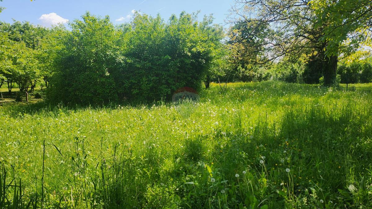 Stavbno zemljišče Trnje, 1.036m2