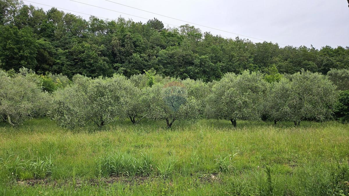 Stavbno zemljišče Grožnjan, 2.696m2