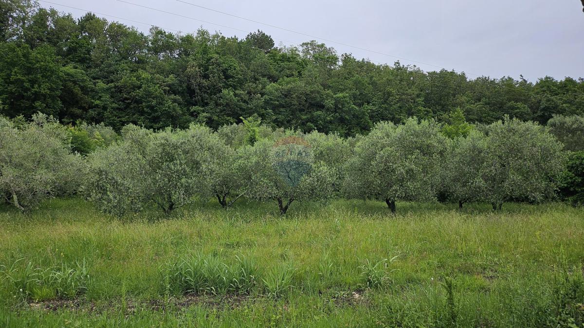 Stavbno zemljišče Grožnjan, 2.696m2