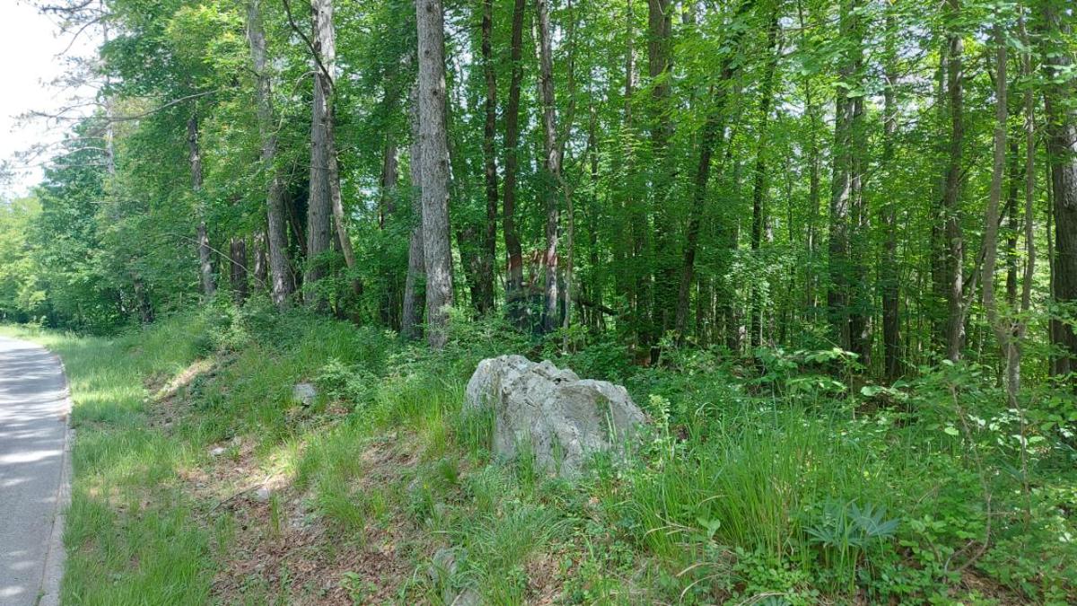 Stavbno zemljišče Klana, 978m2
