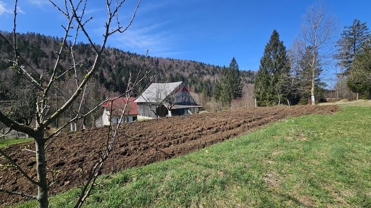 Hiša Prezid, Čabar, 3.285m2