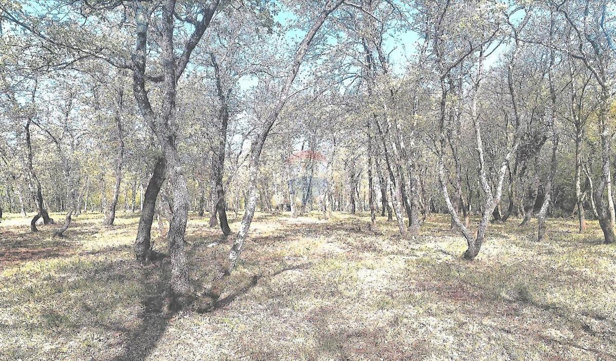 Stavbno zemljišče Lovrečica, Umag, 8.900m2