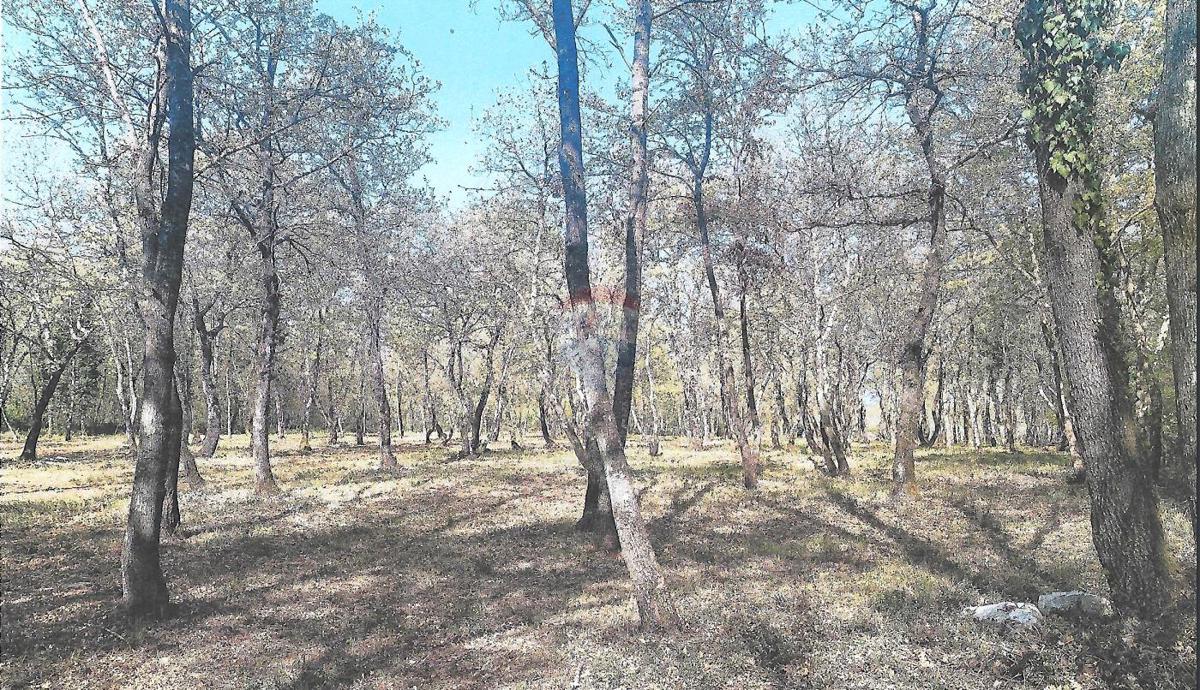 Stavbno zemljišče Lovrečica, Umag, 8.900m2