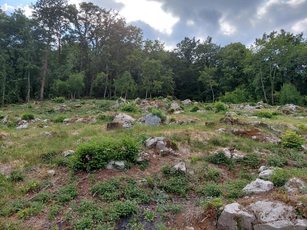 Stavbno zemljišče Rukavac, Matulji, 2.205m2
