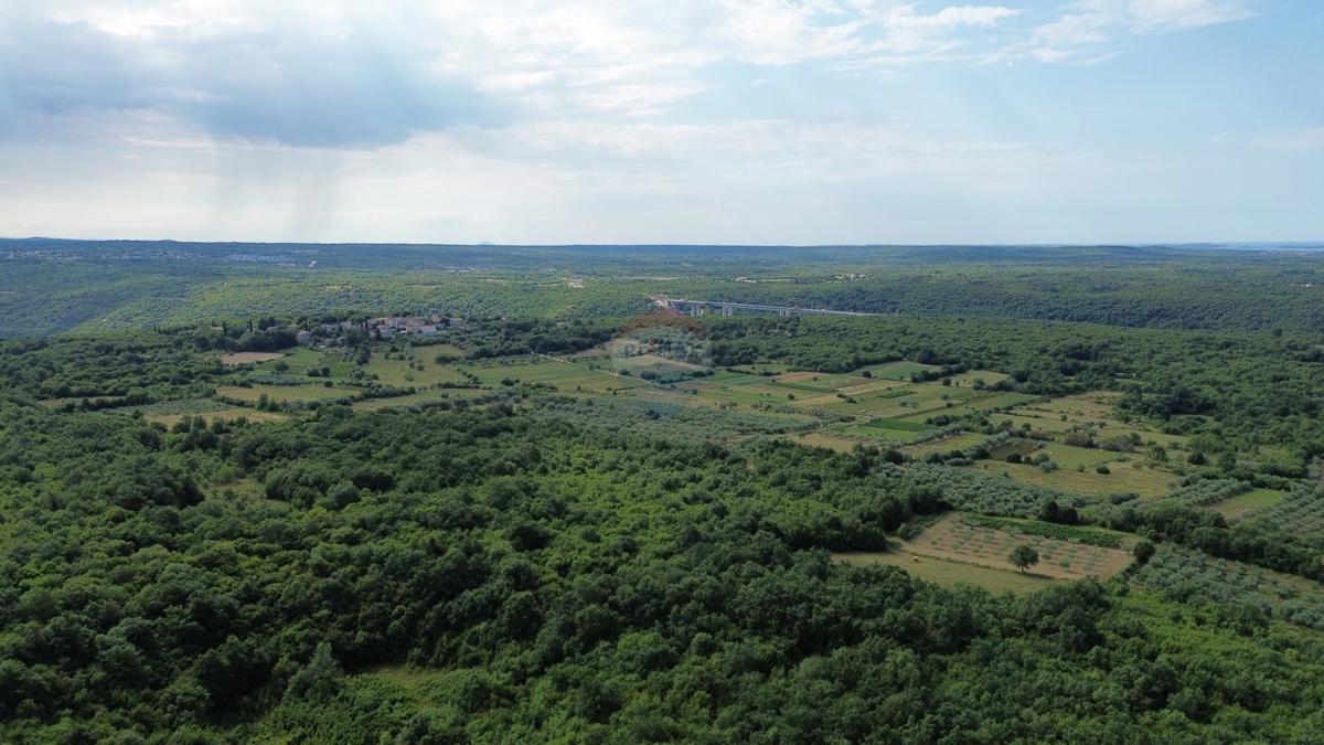 ISTRA, LIMSKI KANAL – Kmetijsko zemljišče 1000 m²