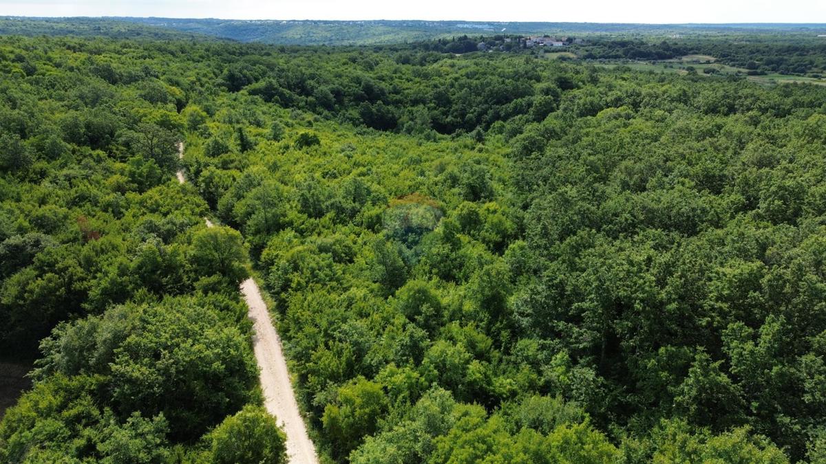 ISTRA, LIMSKI KANAL – Kmetijsko zemljišče 1000 m²
