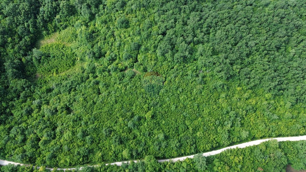 ISTRA, LIMSKI KANAL – Kmetijsko zemljišče 1000 m²