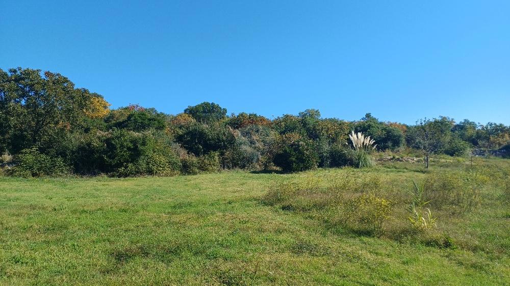Stavbno zemljišče Pomer, Medulin, 3.169m2