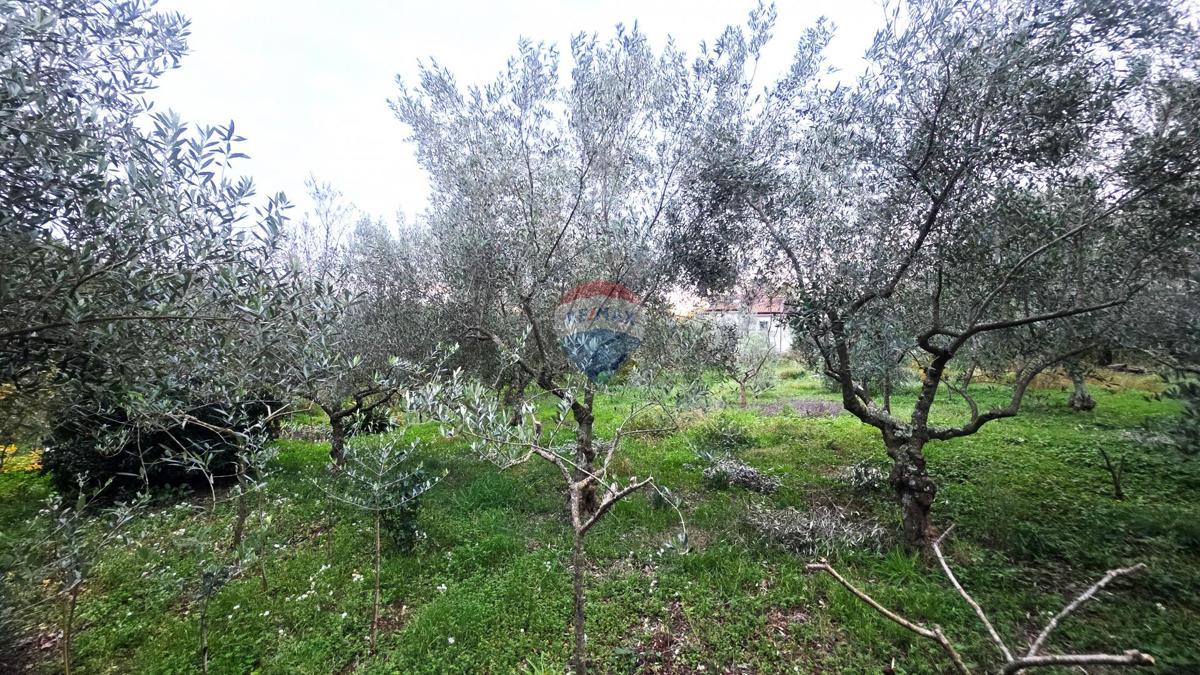 Stavbno zemljišče Brtonigla, 1.356m2