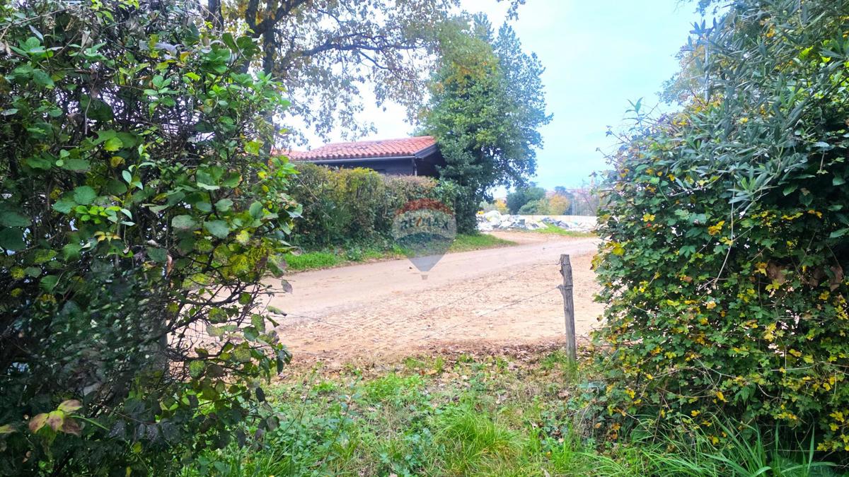 Stavbno zemljišče Brtonigla, 1.356m2