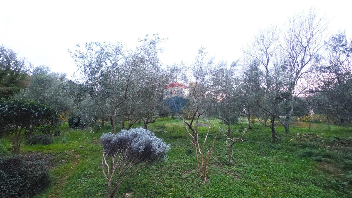 Stavbno zemljišče Brtonigla, 1.356m2