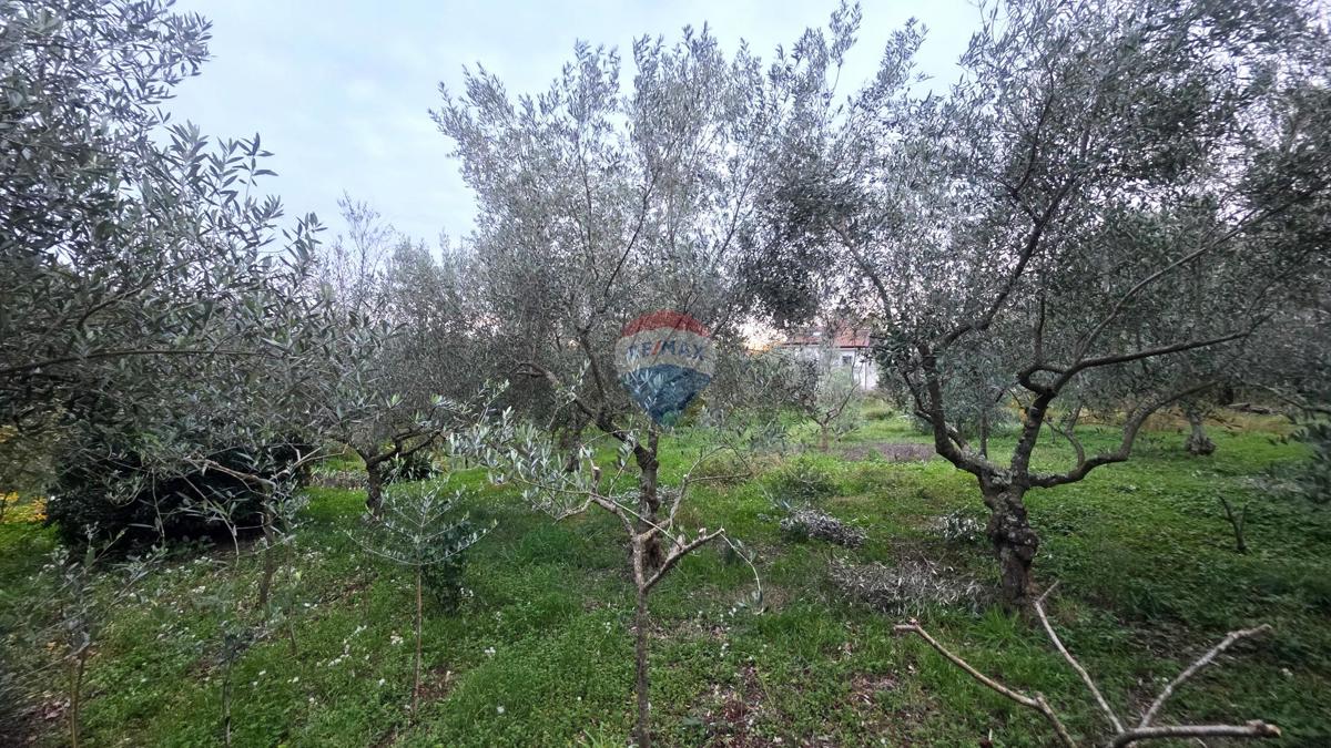 Stavbno zemljišče Brtonigla, 1.356m2