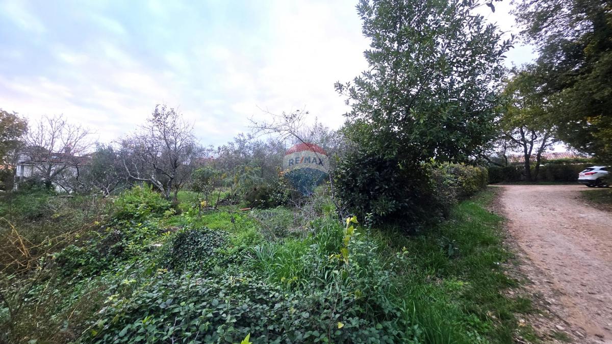 Stavbno zemljišče Brtonigla, 1.356m2