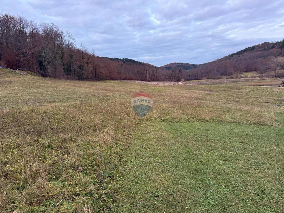 Stavbno zemljišče Centar, Pazin, 12.860m2