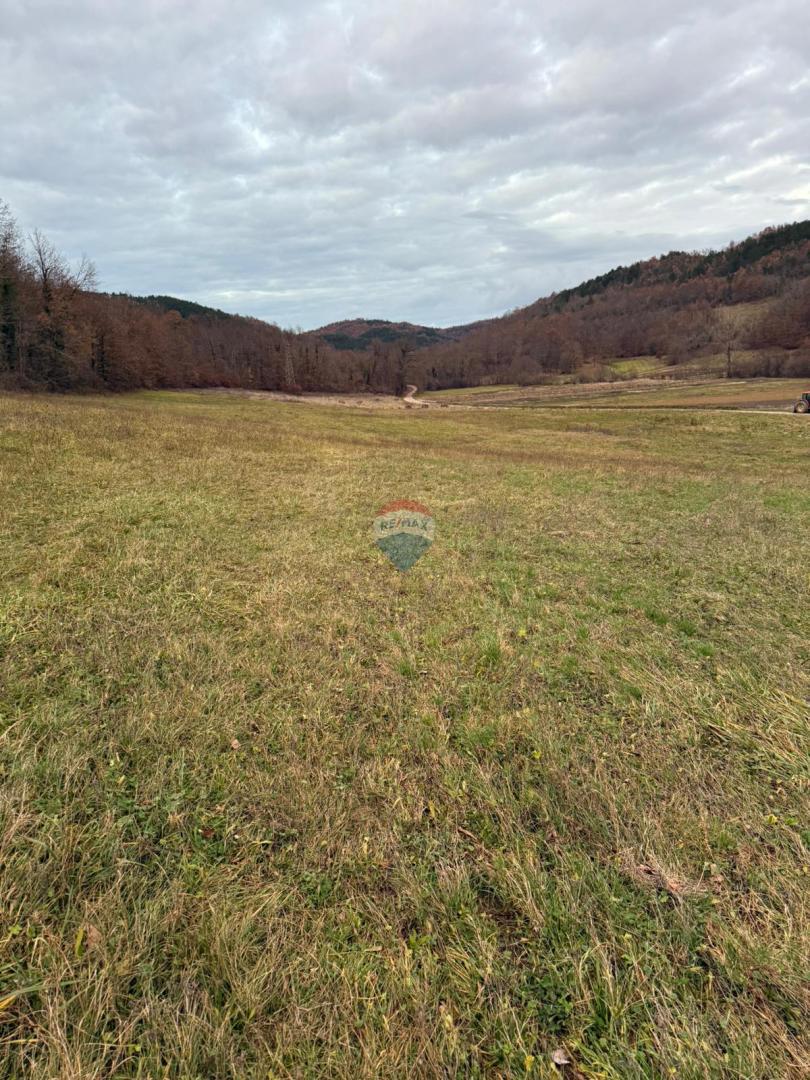 Stavbno zemljišče Centar, Pazin, 12.860m2
