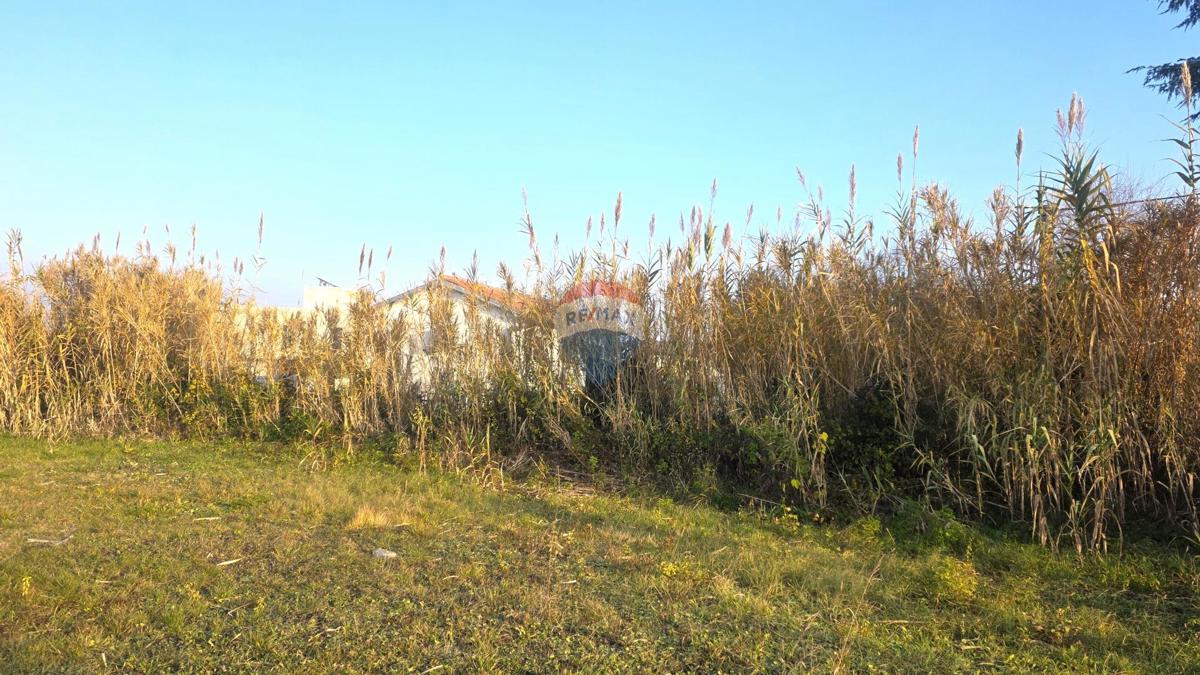 Stavbno zemljišče Brtonigla, 881m2