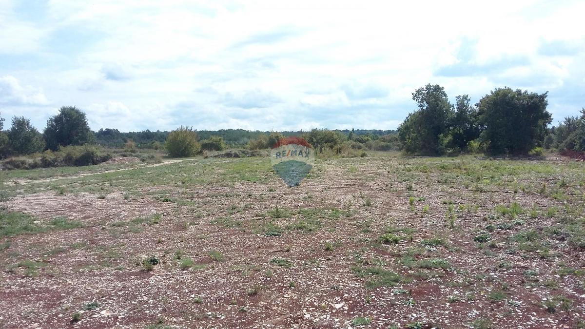 Stavbno zemljišče Kanfanar, 3.825m2