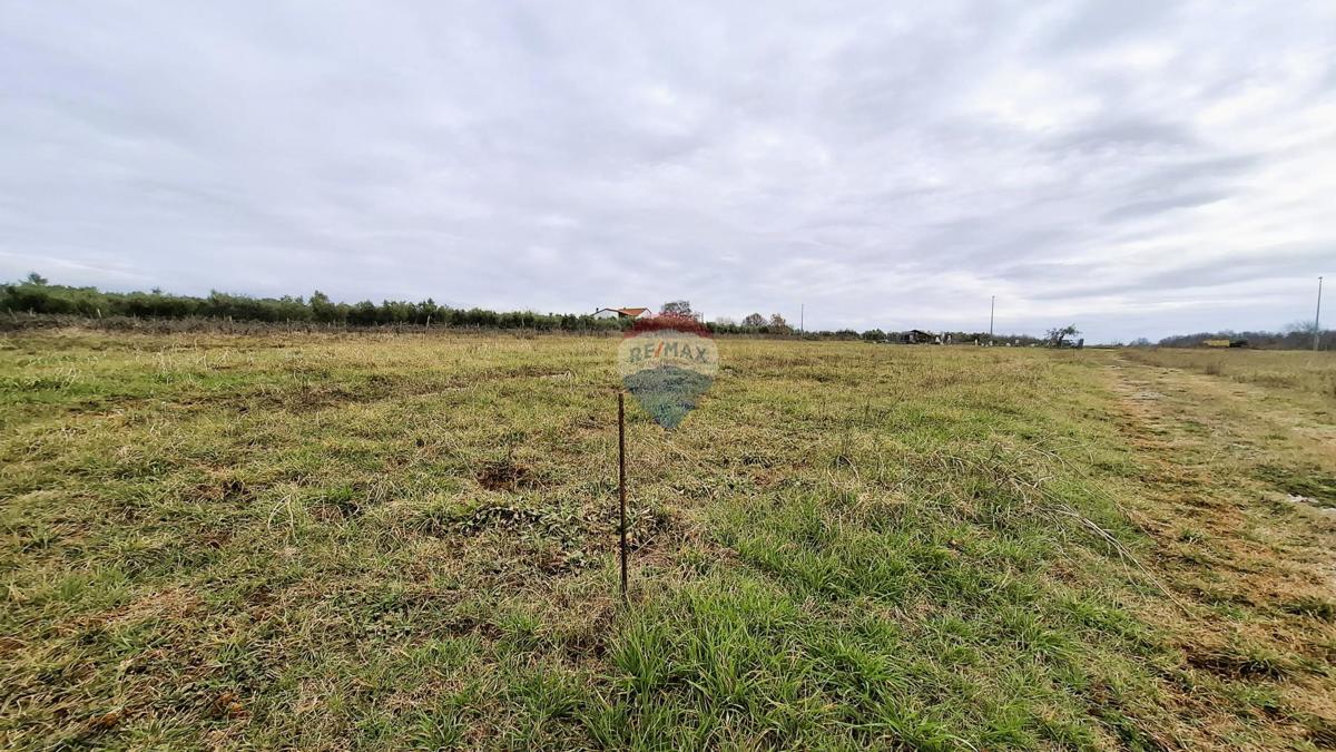 Novigrad, nezazidljivo zemljišče, 708 m²