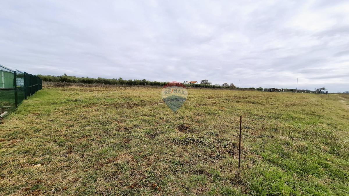 Novigrad, nezazidljivo zemljišče, 708 m²