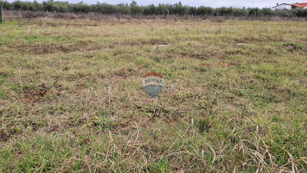 Novigrad, nezazidljivo zemljišče, 708 m²