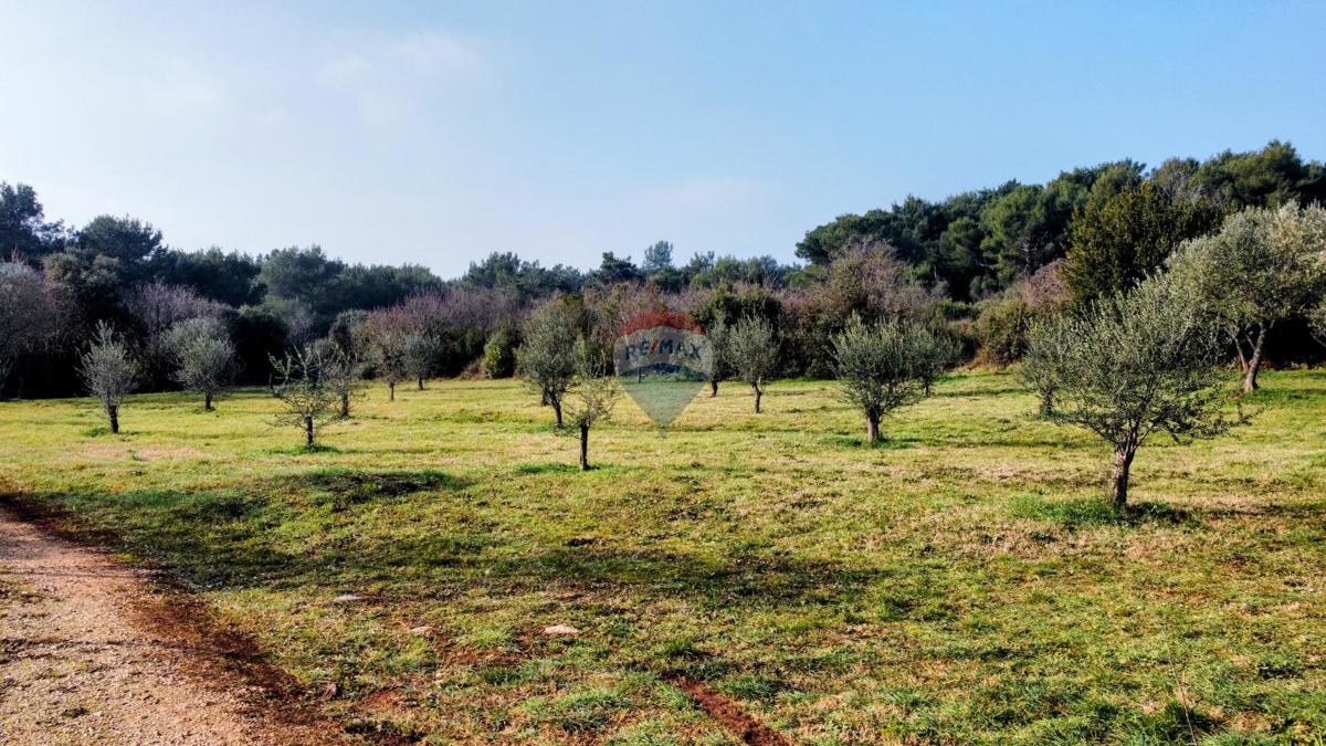 Stavbno zemljišče Rovinj, 1.865m2