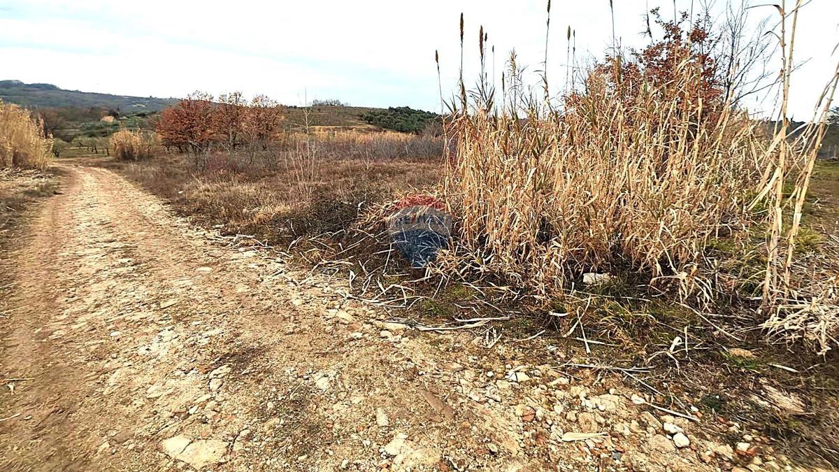 Stavbno zemljišče Buje, 4.242m2