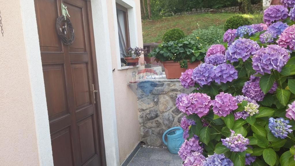 Hiša Poljane, Opatija - Okolica, 332m2