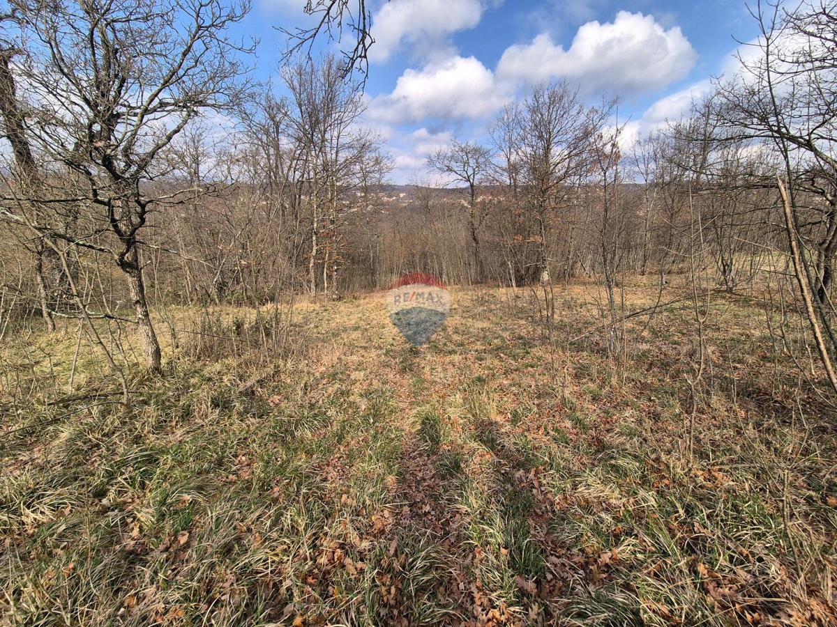 Stavbno zemljišče Kastav, 4.362m2