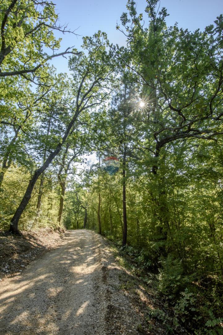 Stavbno zemljišče Kastav, 3.327m2