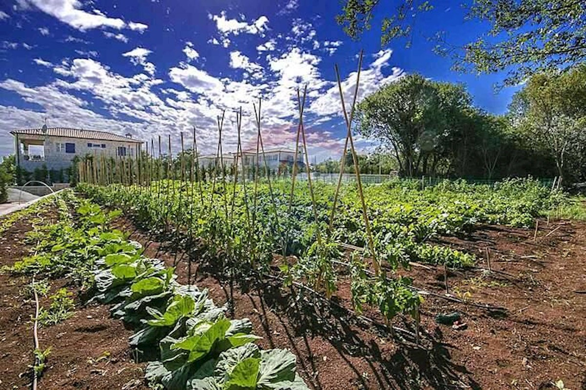 Ladići, Kanfanar, 372m2