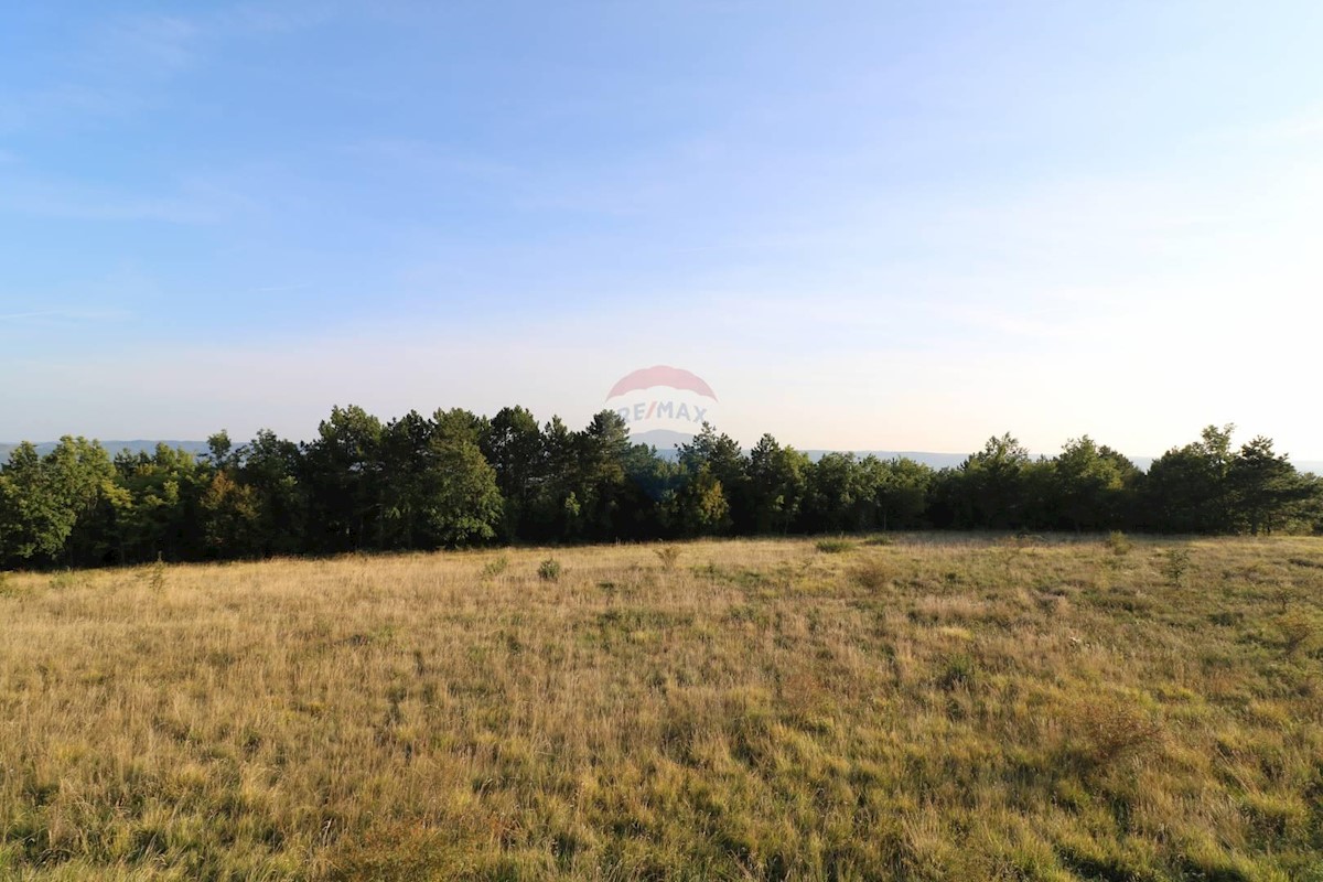 Stavbno zemljišče Oprtalj, 26.000m2