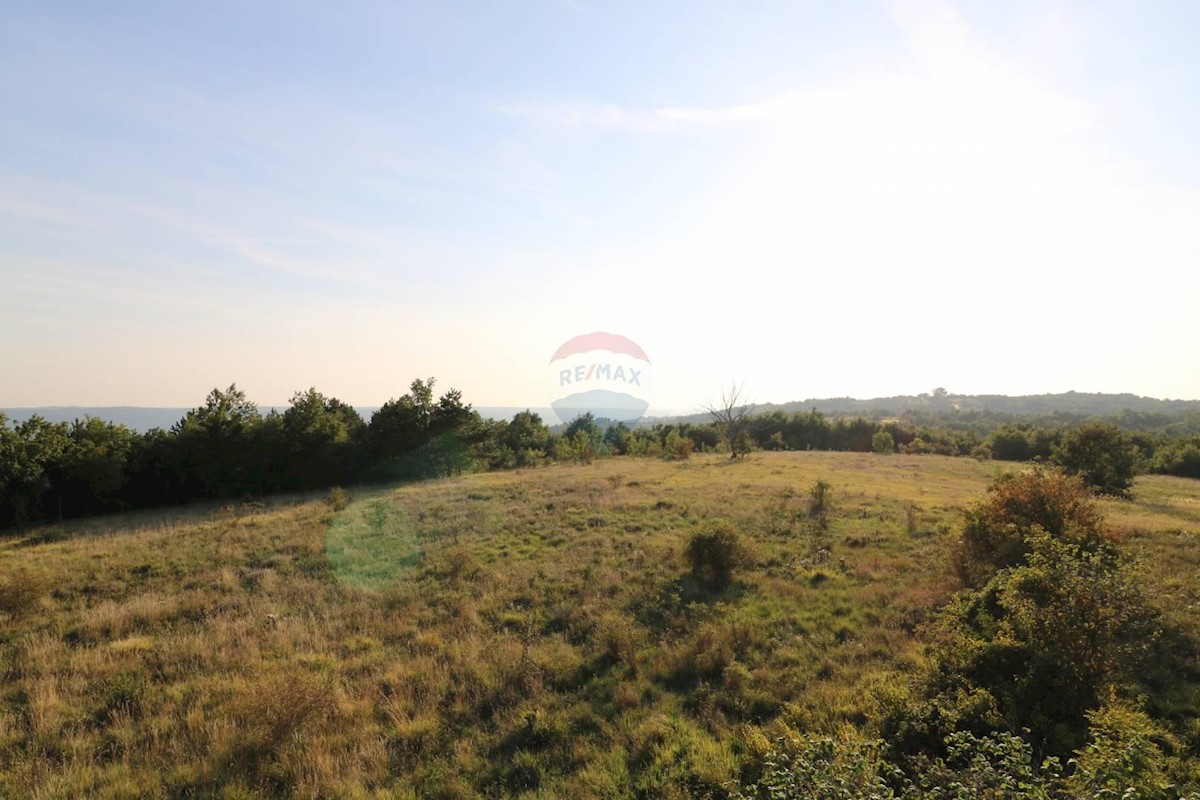 Stavbno zemljišče Oprtalj, 26.000m2