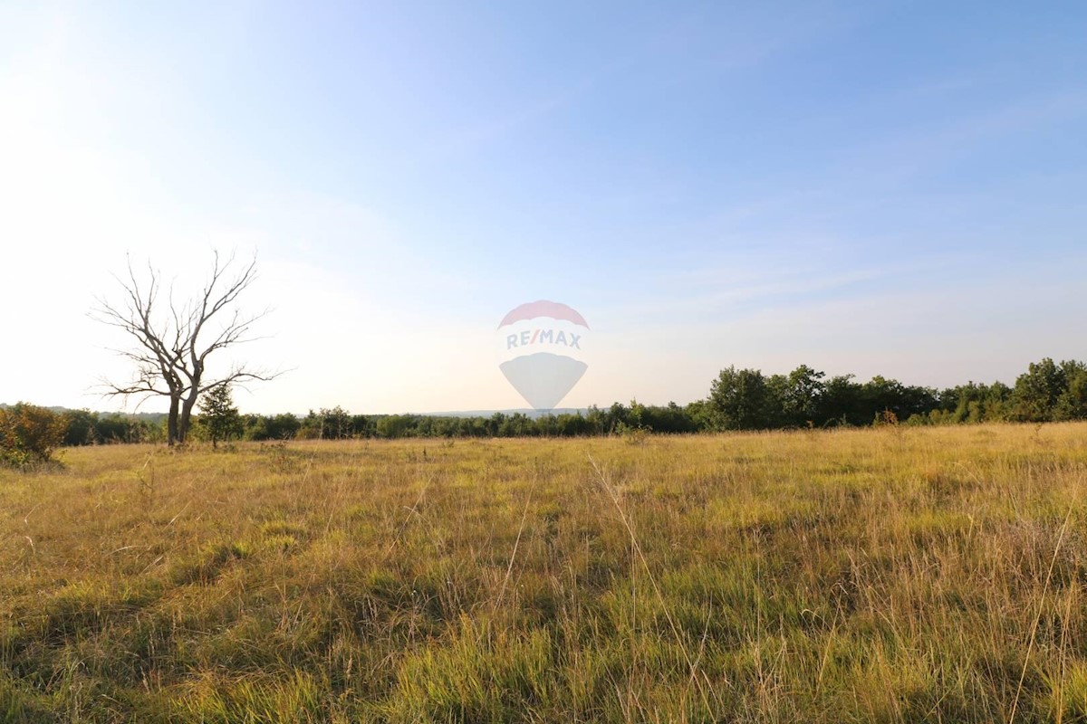 Stavbno zemljišče Oprtalj, 26.000m2