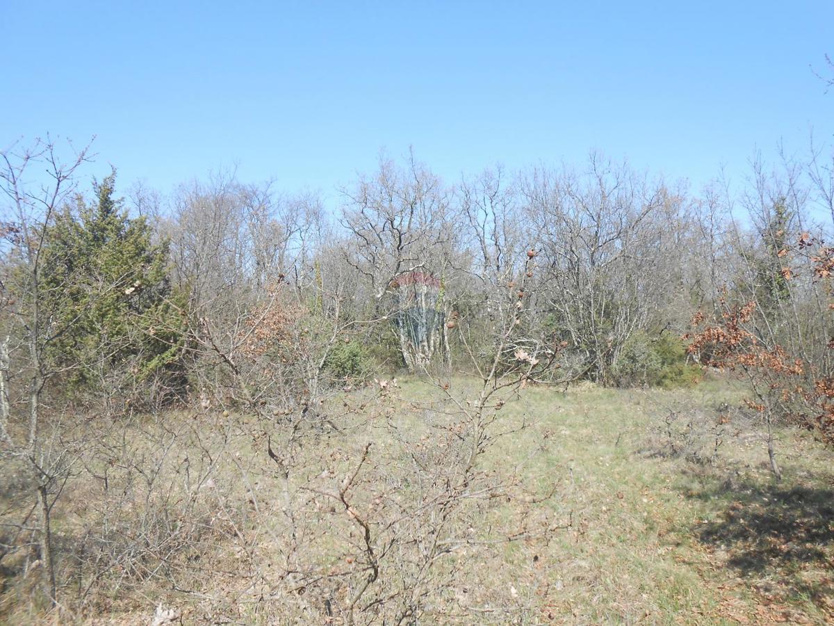 Stavbno zemljišče Juršići, Svetvinčenat, 28.205m2