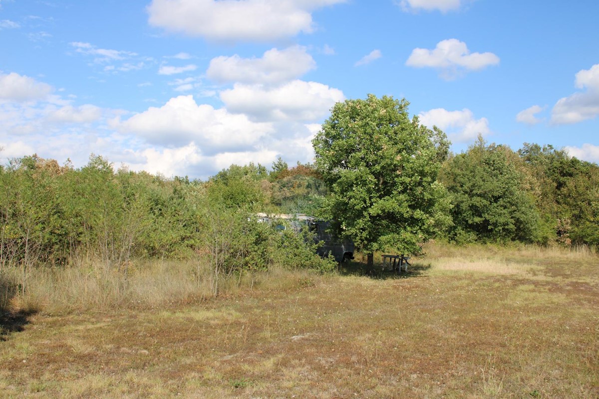 Sveti Lovreč, 12.796m2