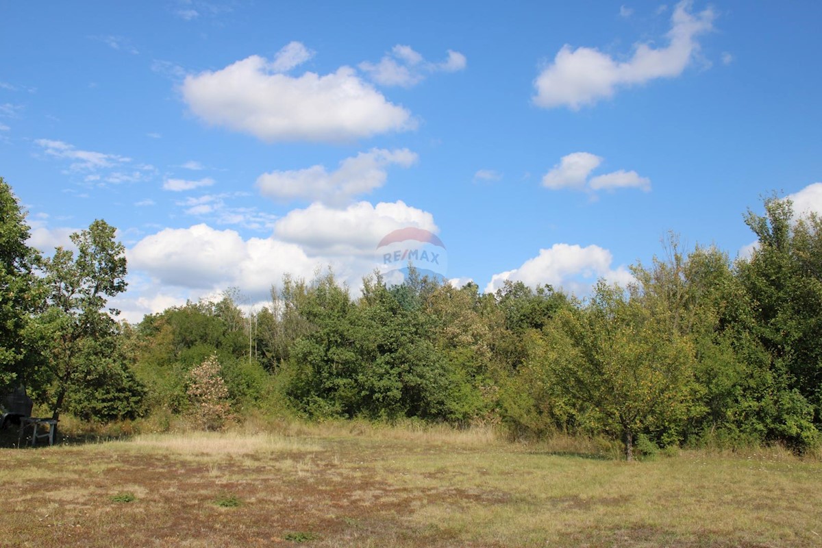 Sveti Lovreč, 12.796m2