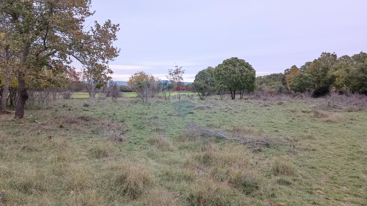 Šegotići, Marčana, 600m2