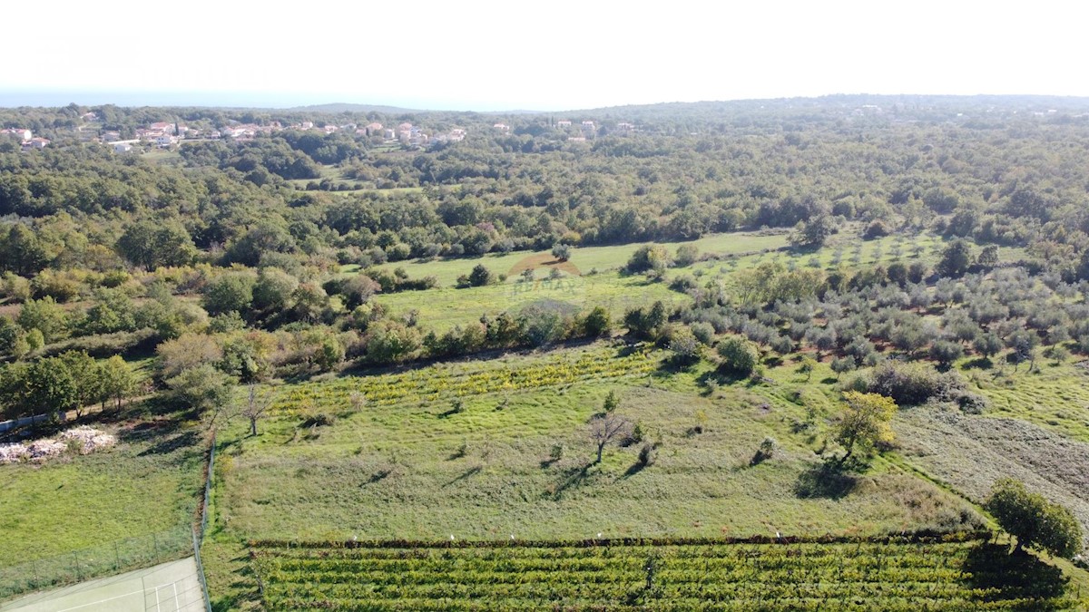 ISTRIA, MARČANA - Building plot 840 m2