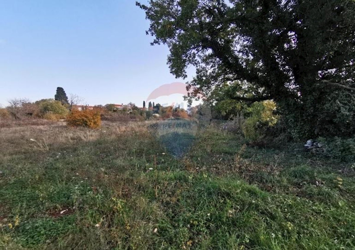 Salambati, Svetvinčenat, 1.245m2