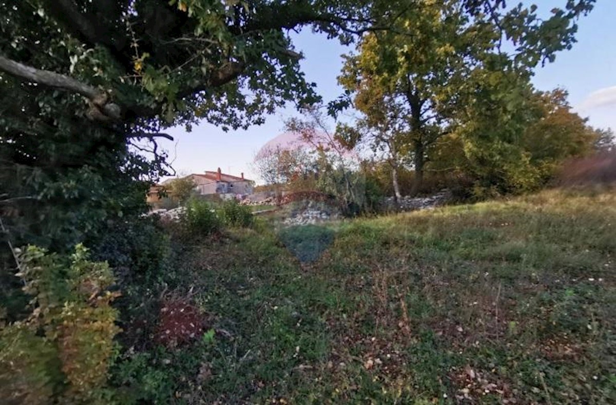 Salambati, Svetvinčenat, 1.245m2