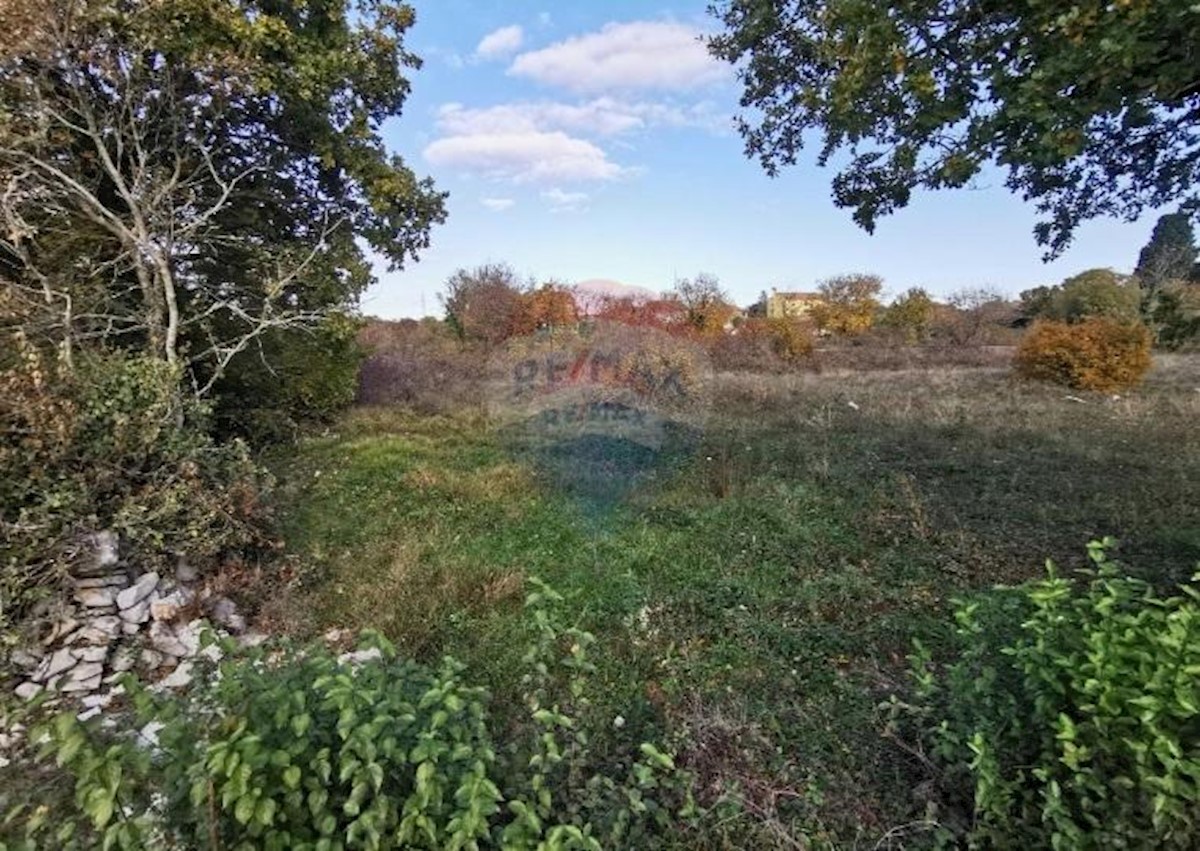 Salambati, Svetvinčenat, 1.245m2
