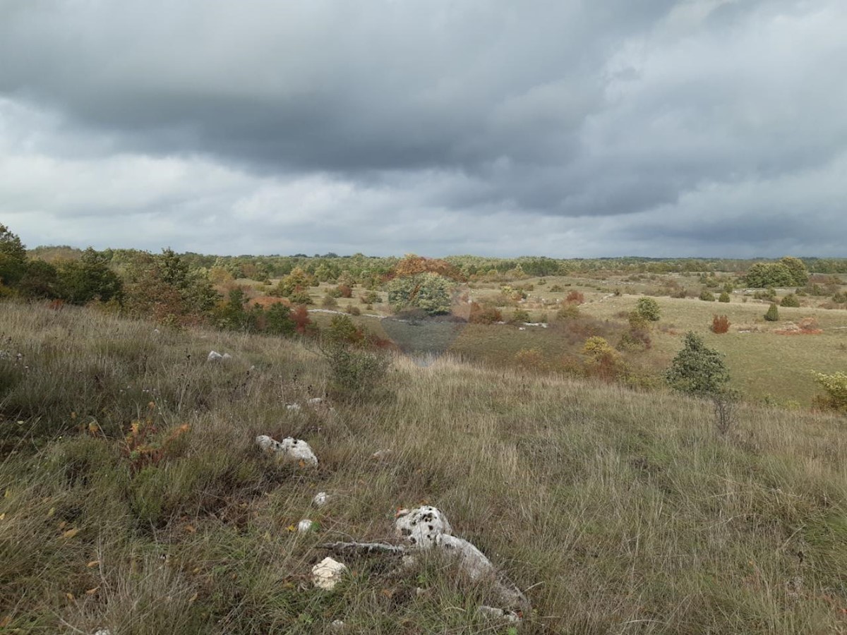 Žagrići, Žminj, 24.839m2