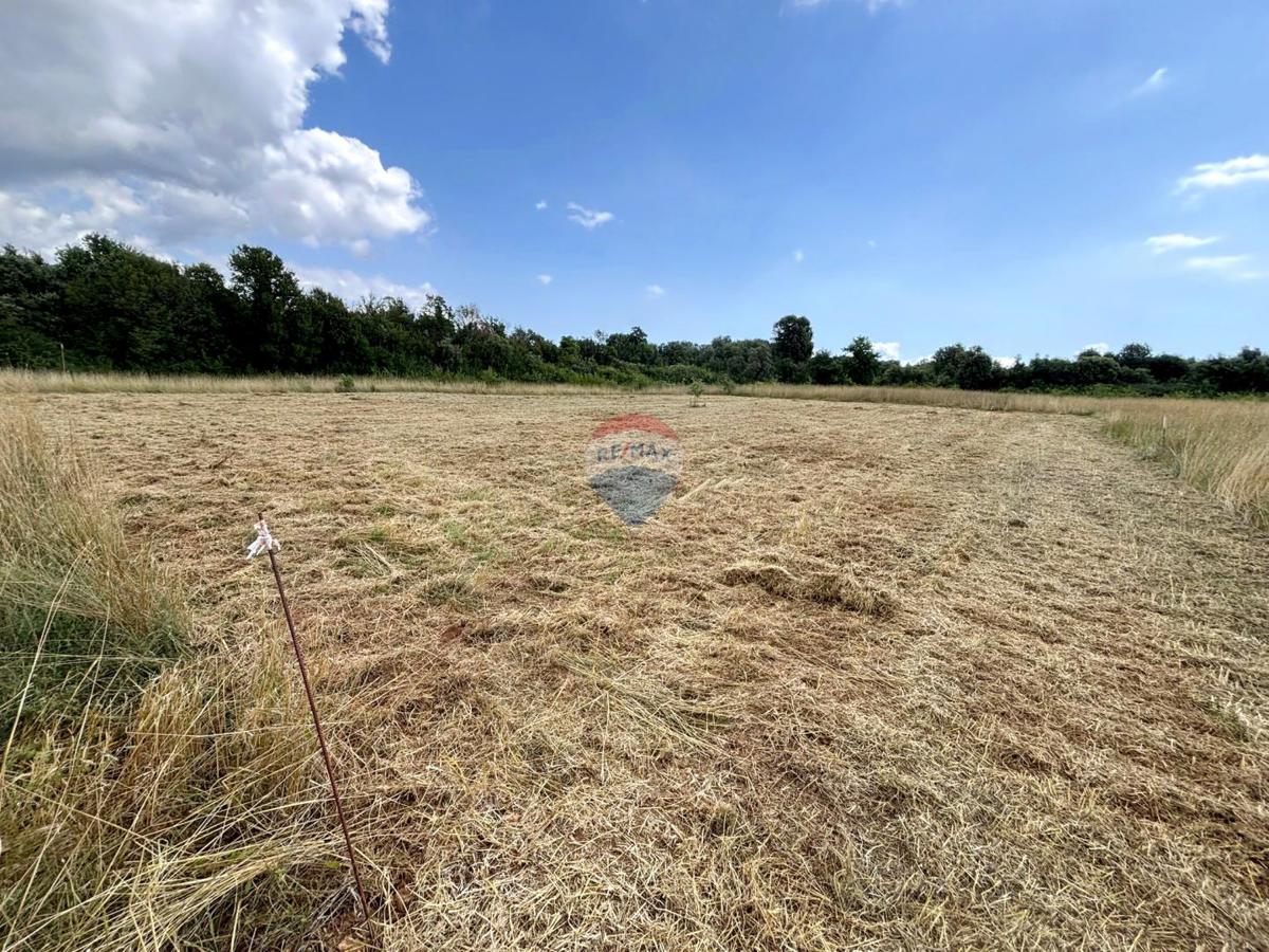 Šišan, Ližnjan, 880m2