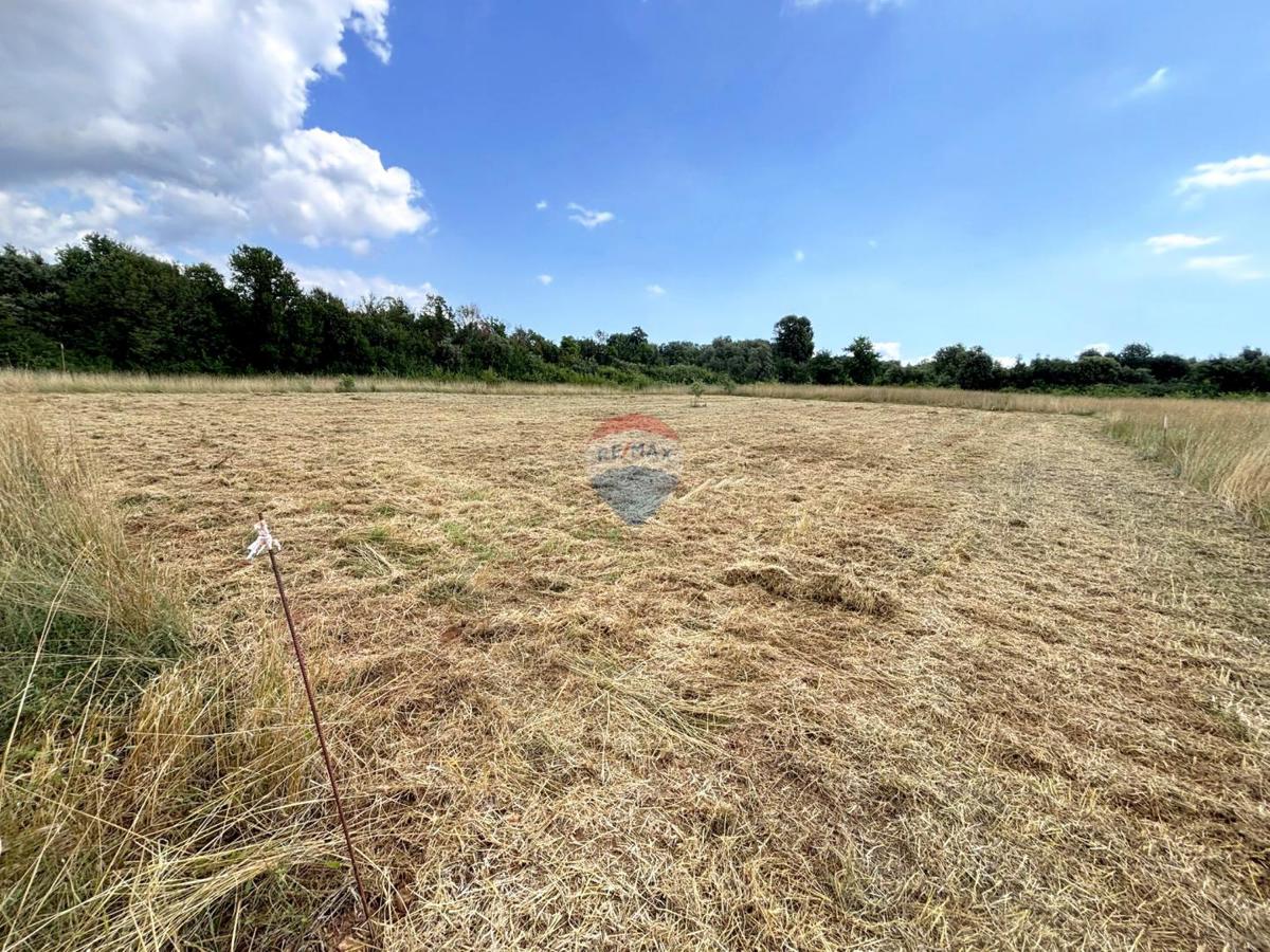 Šišan, Ližnjan, 880m2