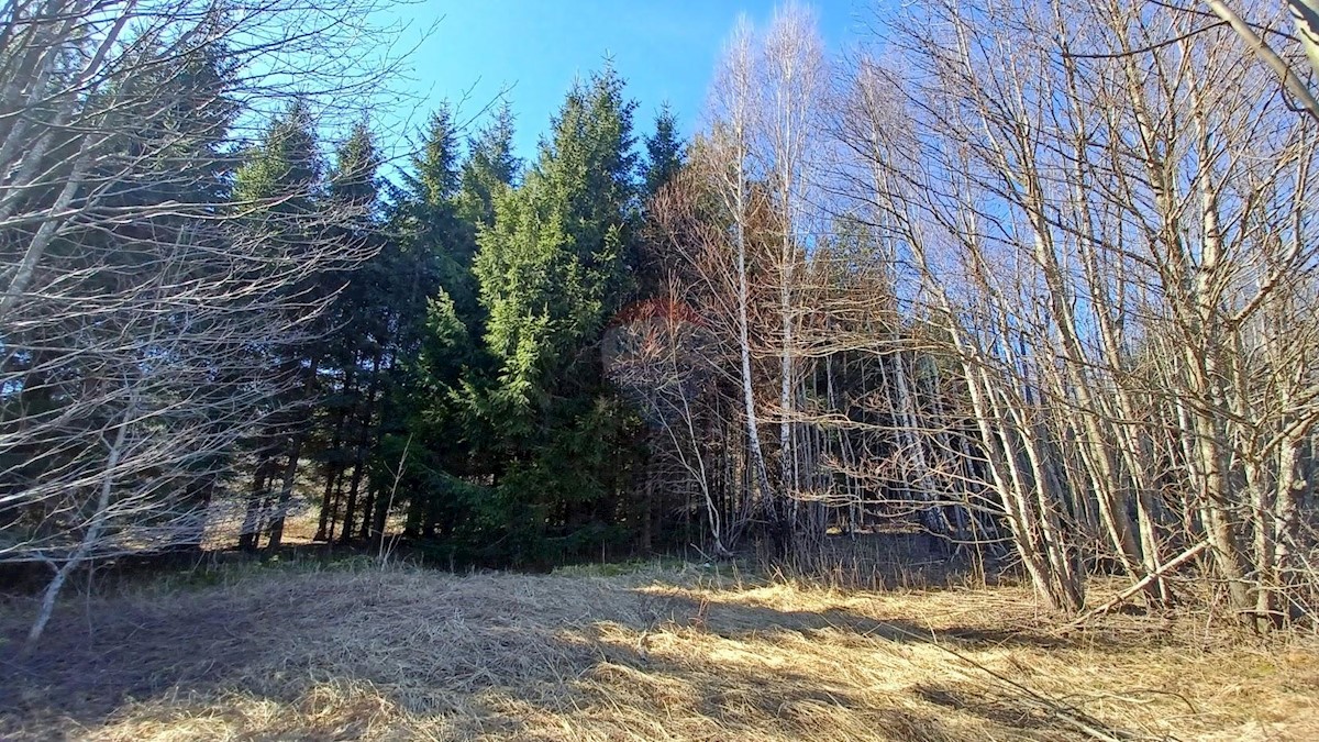 Lič, Fužine, 3.179m2