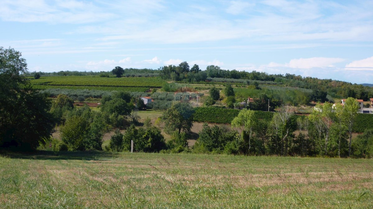 Mekiši kod Vižinade, Vižinada, 755m2